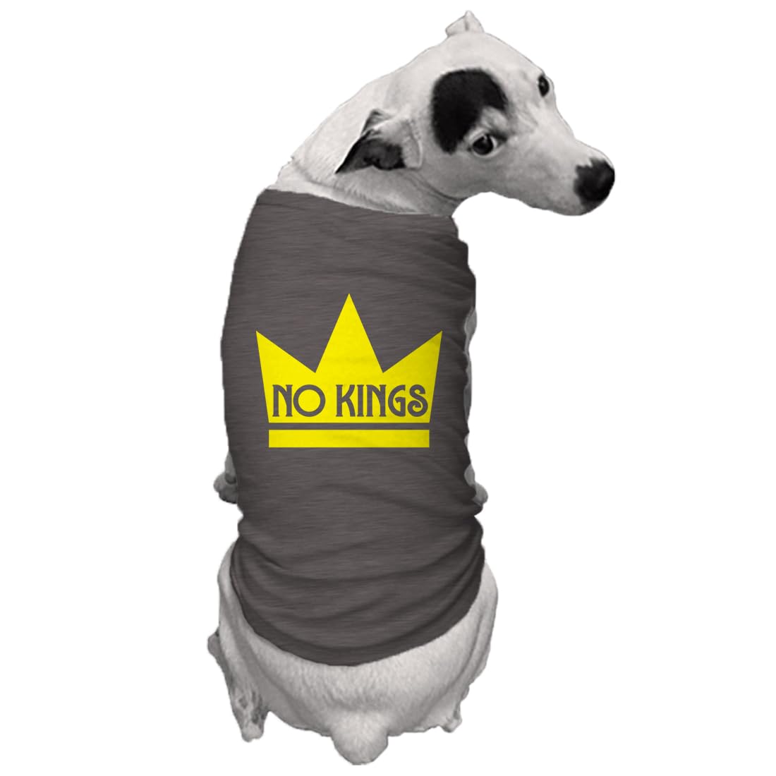 No Kings - Mass Political Protest Crown Dog Shirt (Royal Blue, Large)