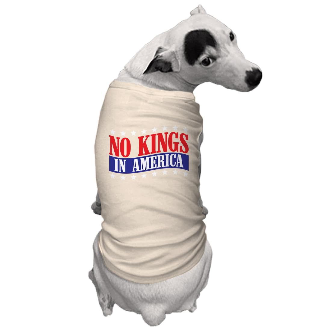 No Kings in America - Political Protest Dog Shirt (Black, Medium)