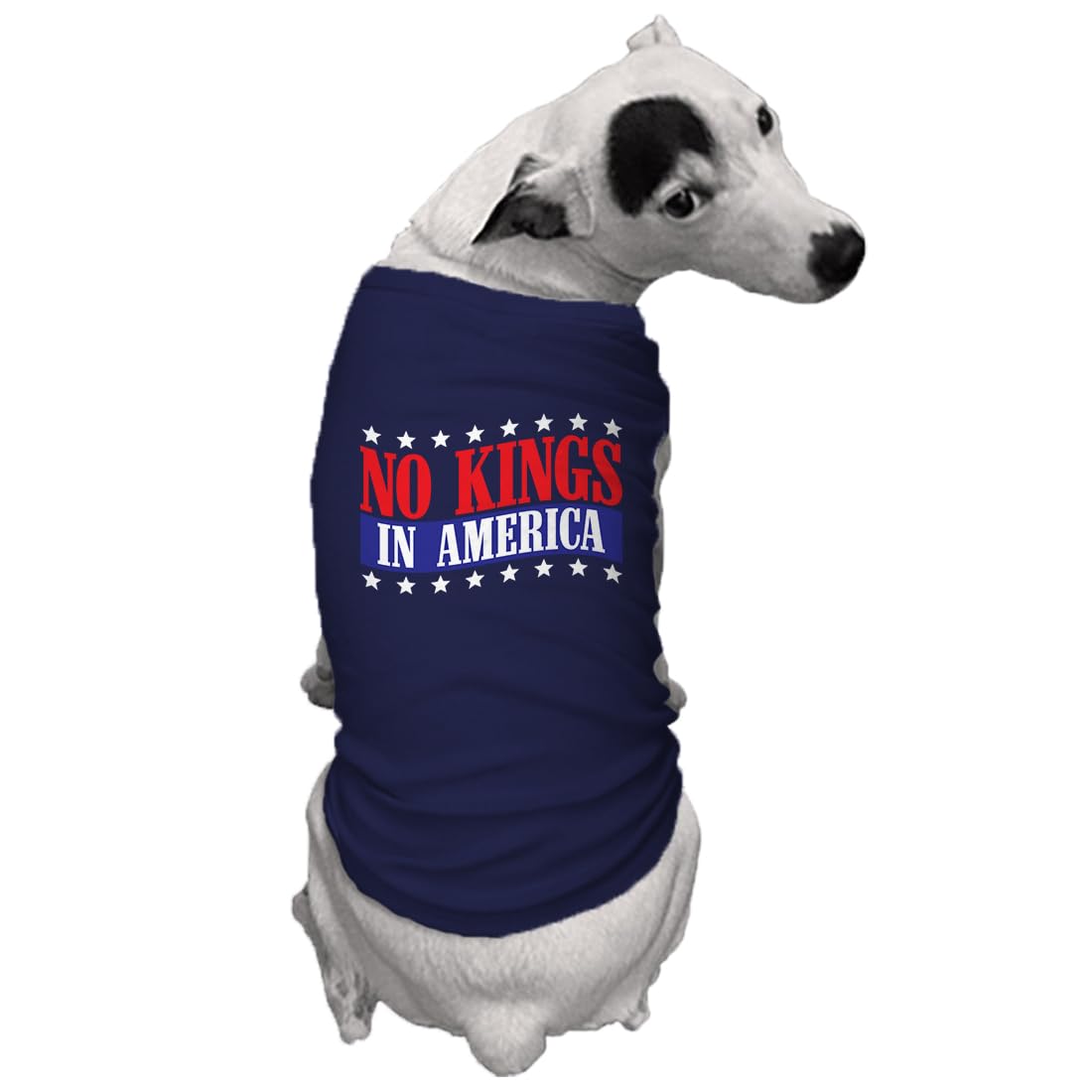 No Kings in America - Political Protest Dog Shirt (Black, Medium)
