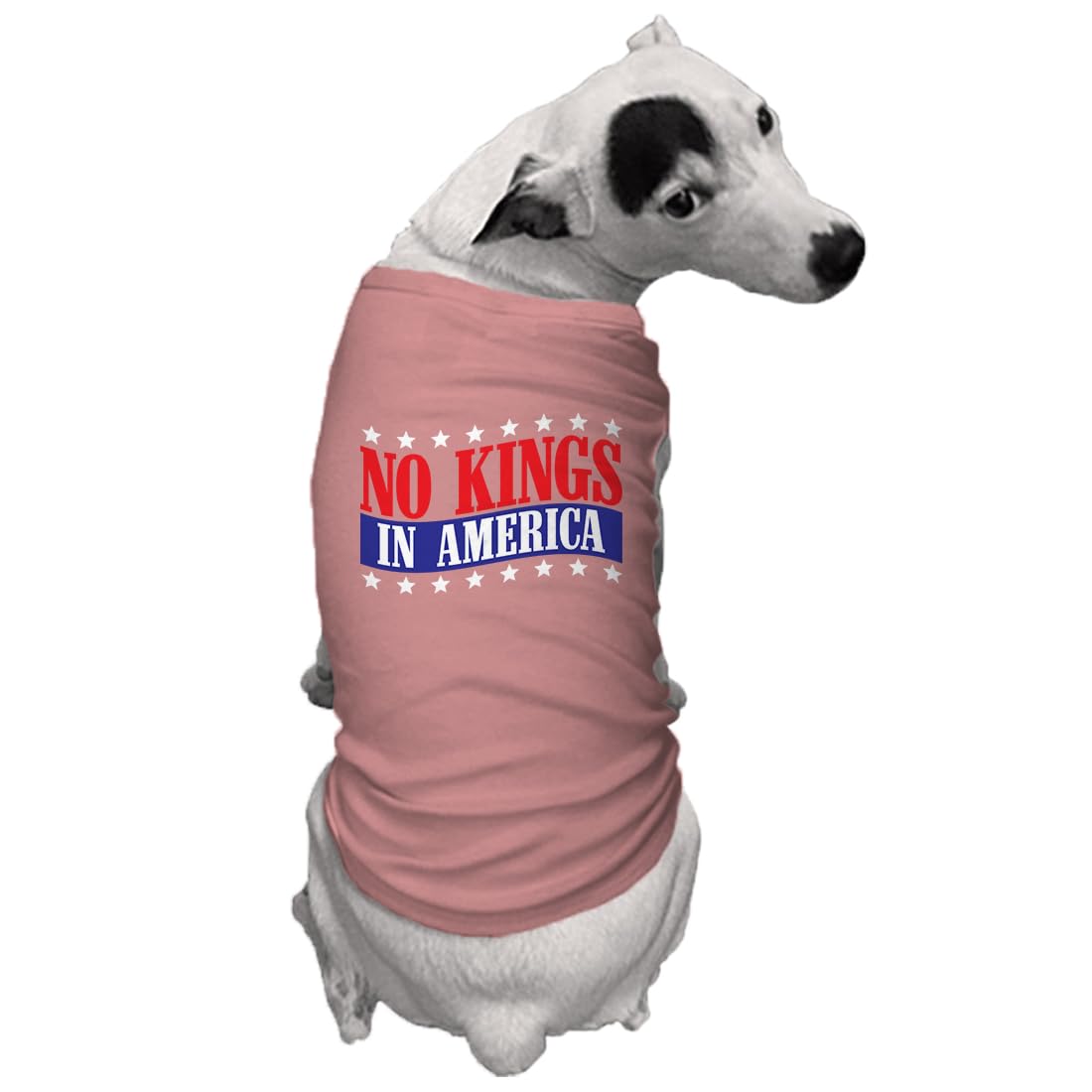 No Kings in America - Political Protest Dog Shirt (Black, Medium)