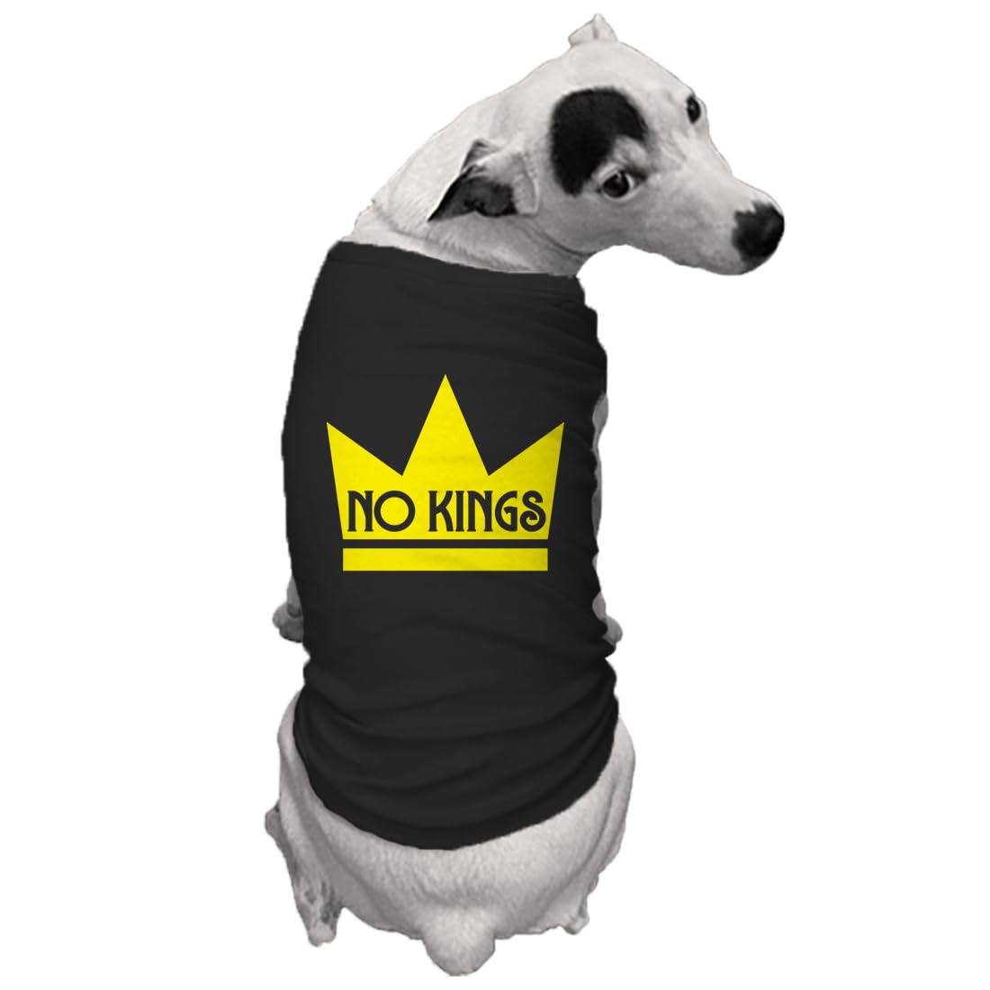 No Kings - Mass Political Protest Crown Dog Shirt (Royal Blue, Large)