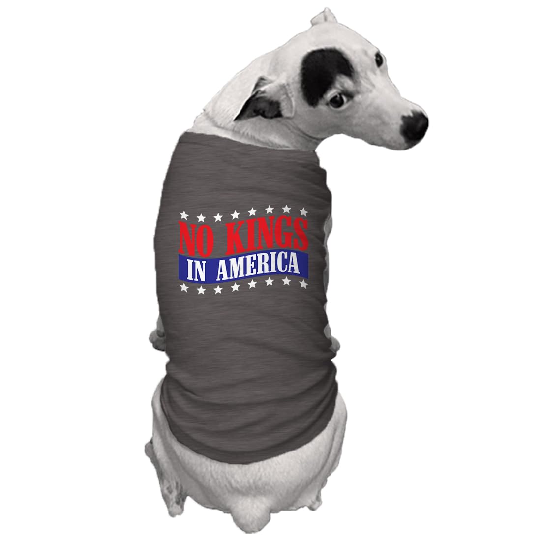 No Kings in America - Political Protest Dog Shirt (Black, Medium)