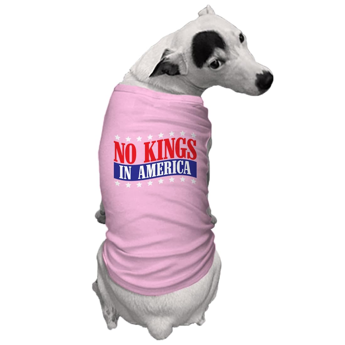 No Kings in America - Political Protest Dog Shirt (Black, Medium)