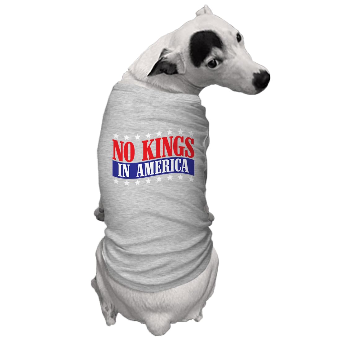 No Kings in America - Political Protest Dog Shirt (Black, Medium)