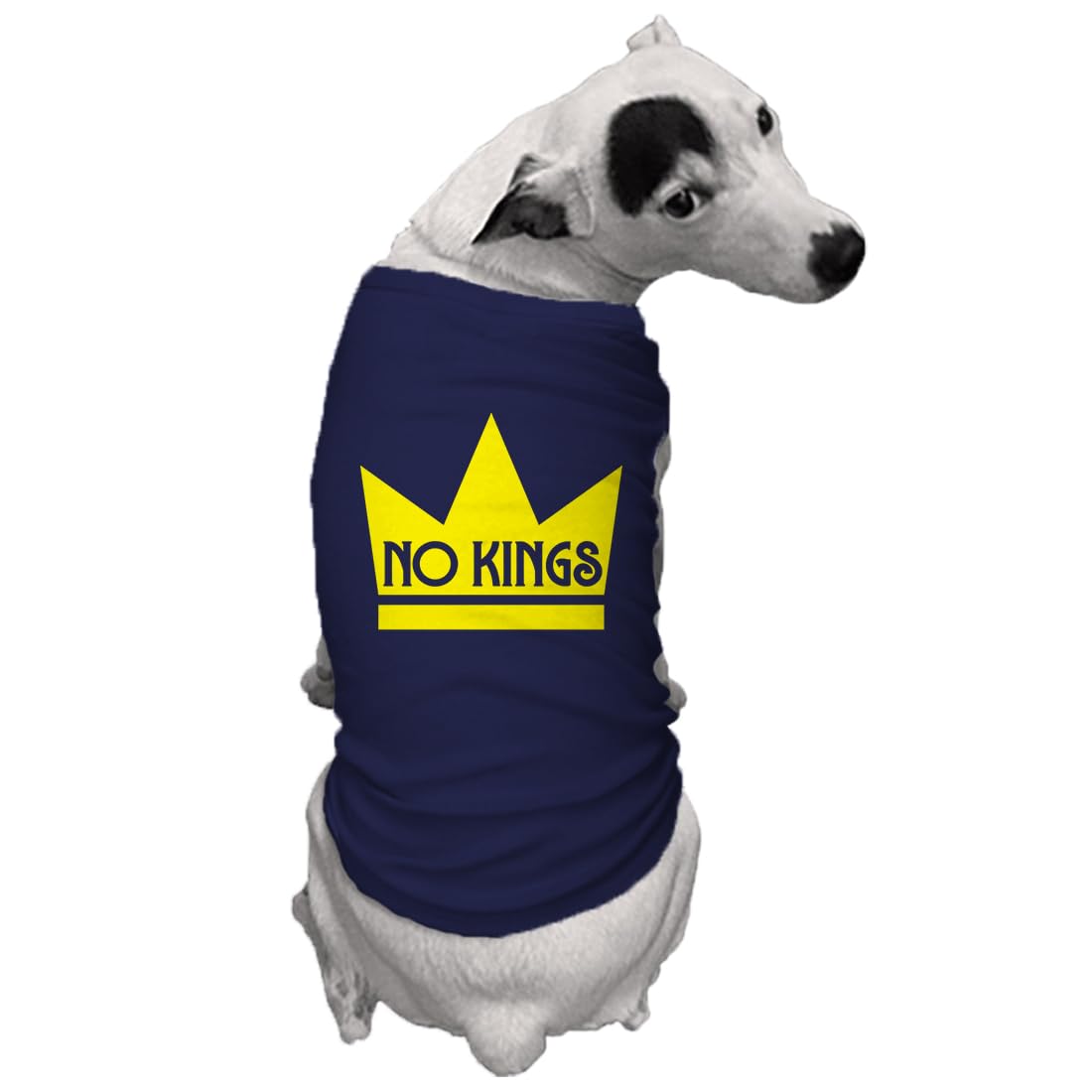 No Kings - Mass Political Protest Crown Dog Shirt (Royal Blue, Large)