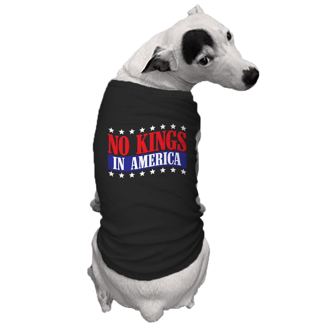 No Kings in America - Political Protest Dog Shirt (Black, Medium)