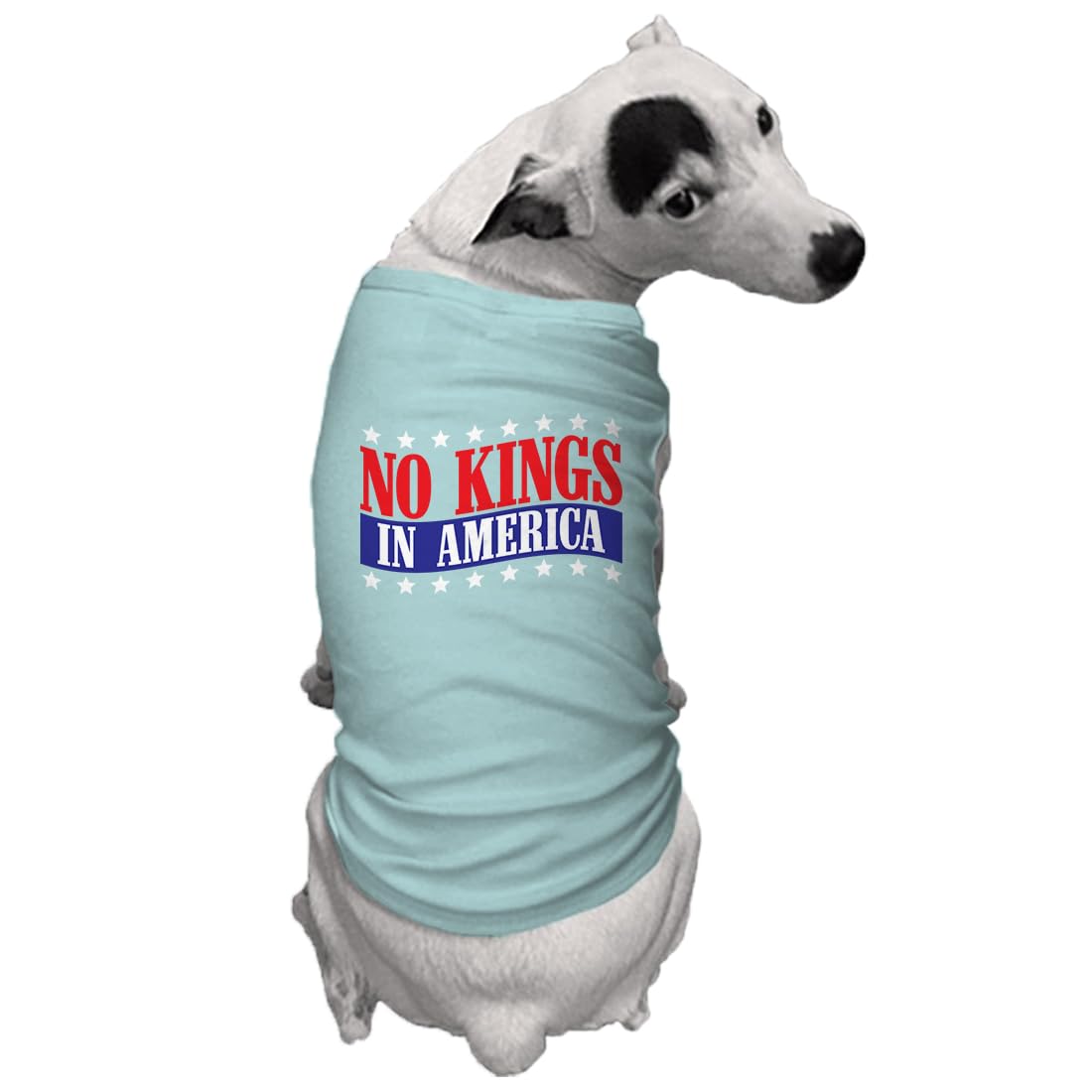 No Kings in America - Political Protest Dog Shirt (Black, Medium)