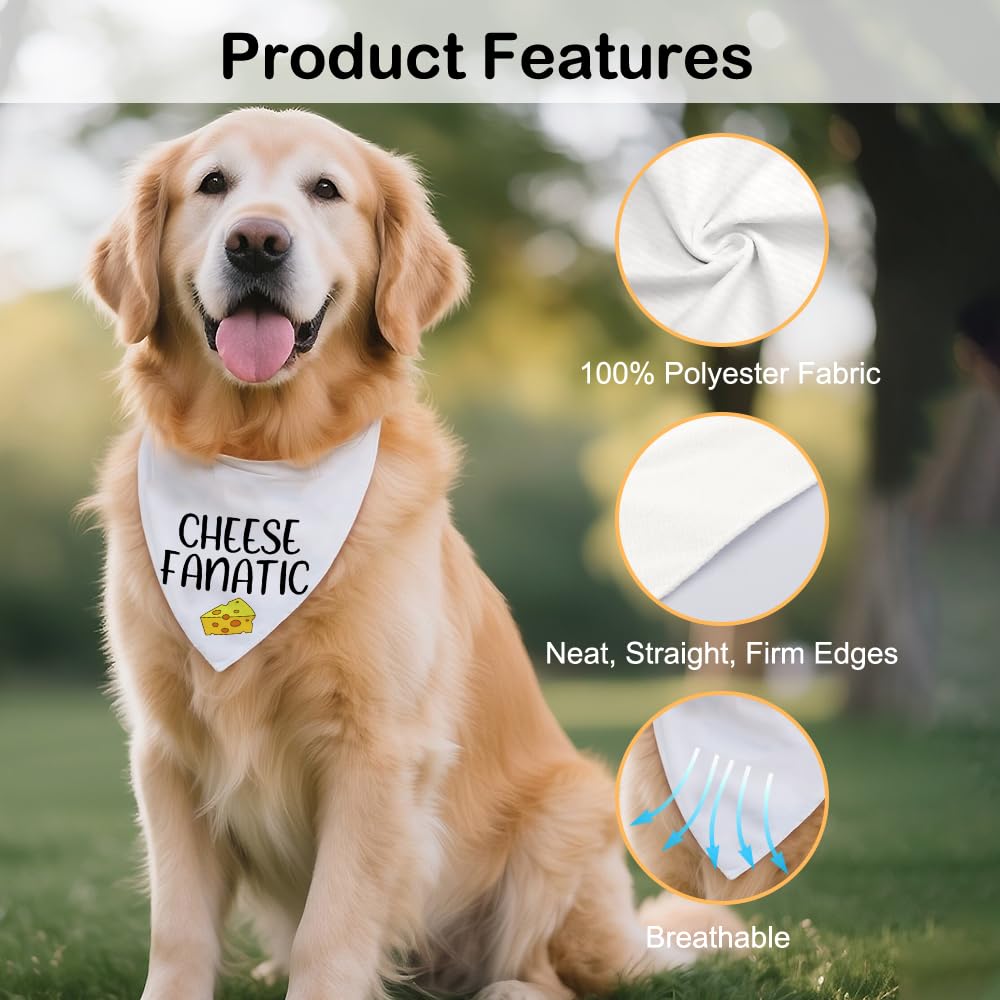 Sit Stay Protest Black Dog Bandana, Protest Theme Pet Scarf Gifts for Activist Pet Owner Progressive Dog Lover Social Justice Advocate, Pup Accessory for Peace Protests Pride Awareness Event