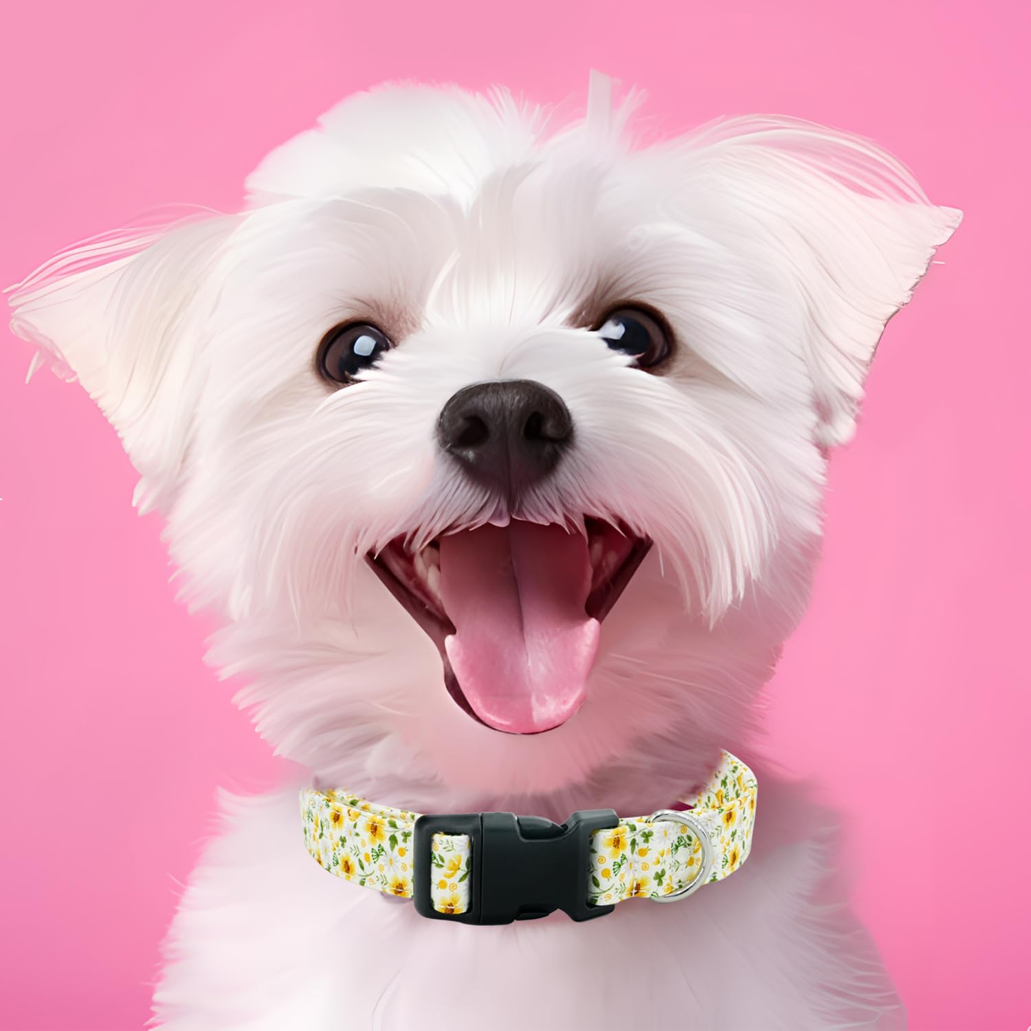 Tunkoo Rainbow Dog Collar, Cute Adjustable Striped Collar for LGBT Pride Month, Dog Collar with Strong Plastic Buckle - for Small Medium Large Pets, S