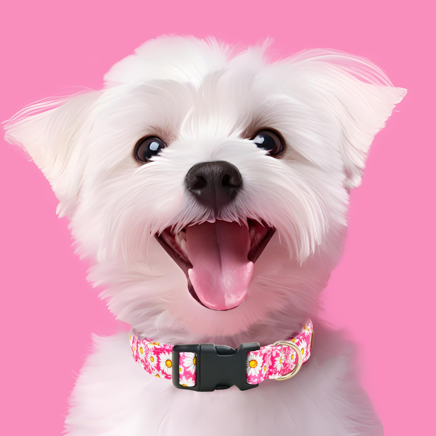 Tunkoo Rainbow Dog Collar, Cute Adjustable Striped Collar for LGBT Pride Month, Dog Collar with Strong Plastic Buckle - for Small Medium Large Pets, S