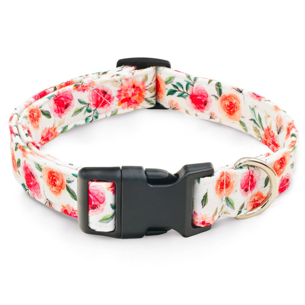 Tunkoo Rainbow Dog Collar, Cute Adjustable Striped Collar for LGBT Pride Month, Dog Collar with Strong Plastic Buckle - for Small Medium Large Pets, S