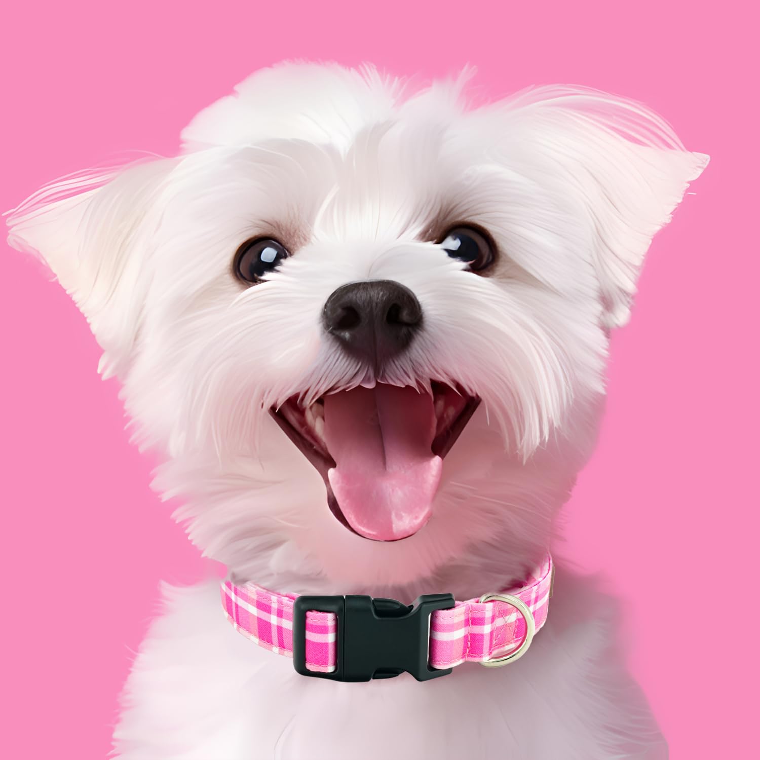Tunkoo Rainbow Dog Collar, Cute Adjustable Striped Collar for LGBT Pride Month, Dog Collar with Strong Plastic Buckle - for Small Medium Large Pets, S