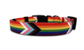 Progress Pride Flag LGBTQ Dog Collar - LGBT Badge Gay Lesbian Bisexual Transgender Supports for Small Medium Large Dogs Cat (M)