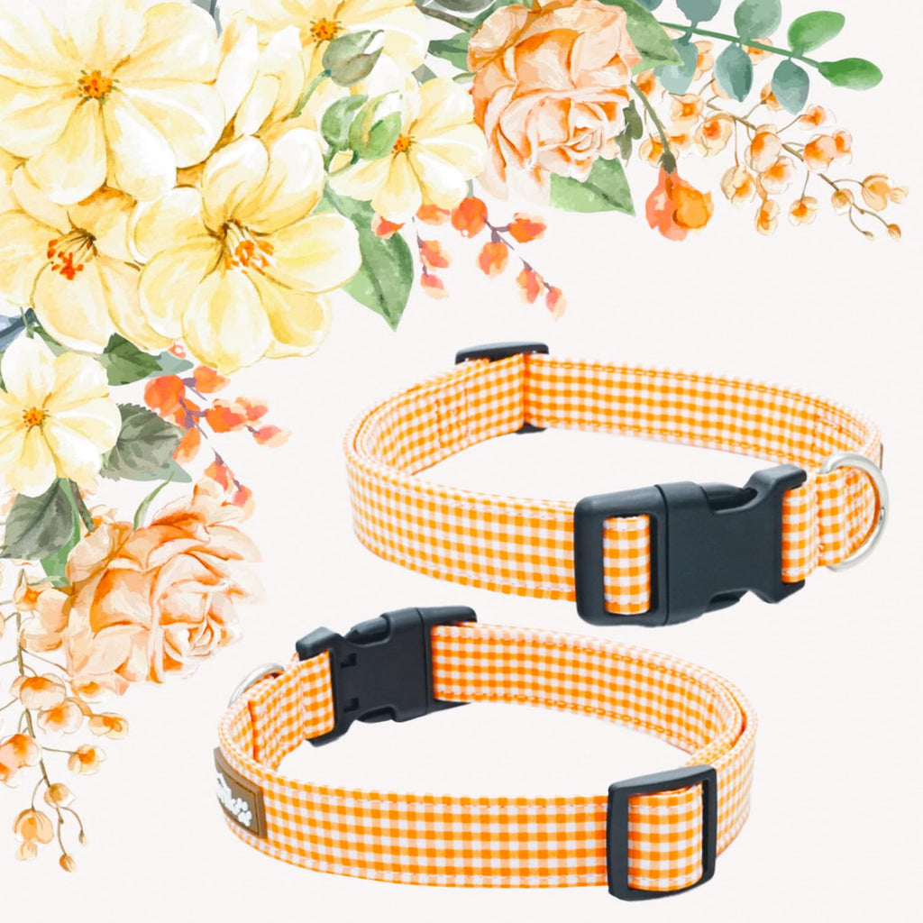 Tunkoo Rainbow Dog Collar, Cute Adjustable Striped Collar for LGBT Pride Month, Dog Collar with Strong Plastic Buckle - for Small Medium Large Pets, S