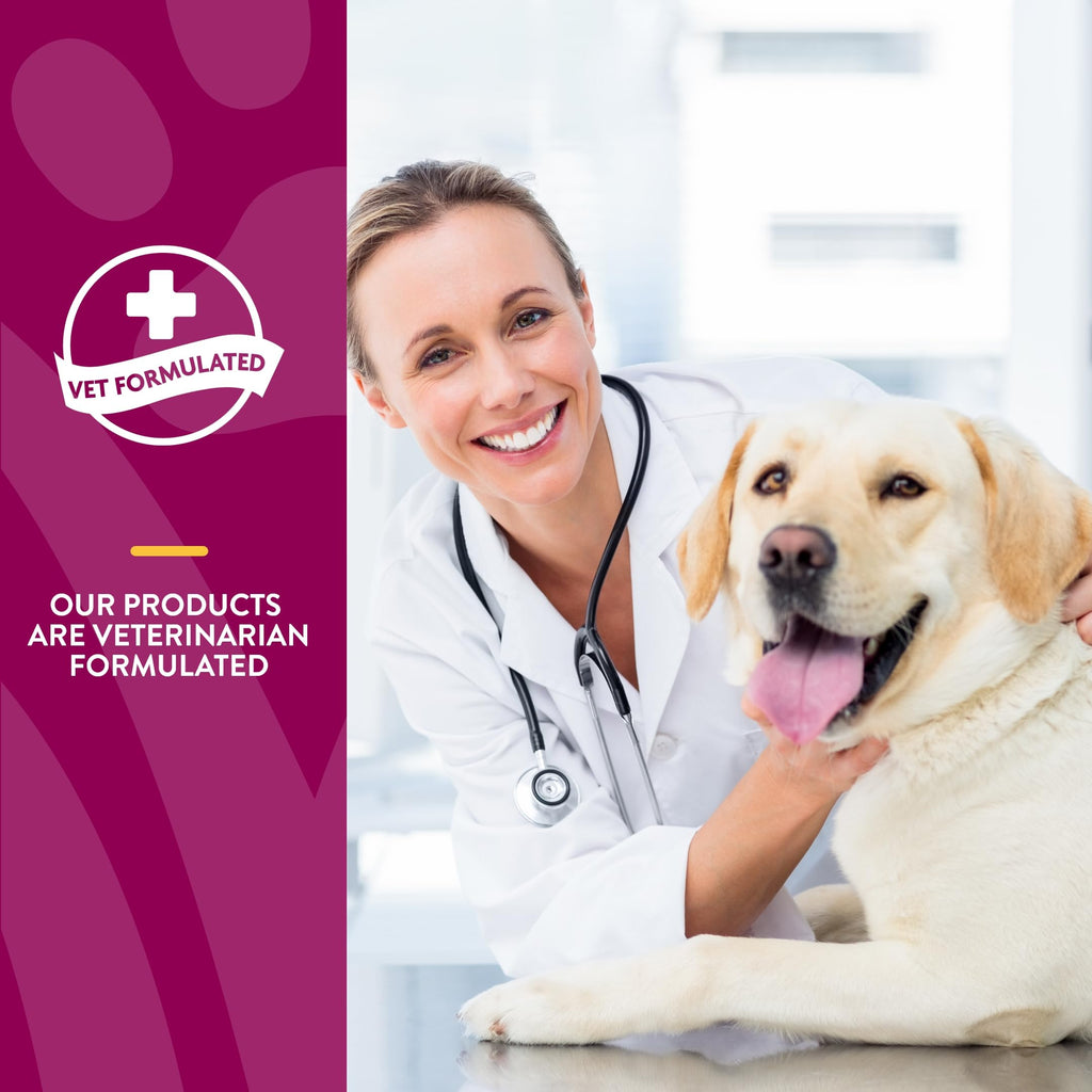 NaturVet – Senior Wellness Hip & Joint Advanced Plus Omegas | Help Support Your Pet’s Healthy Hip & Joint Function | Supports Joints, Cartilage & Connective Tissues | 120 Soft Chews