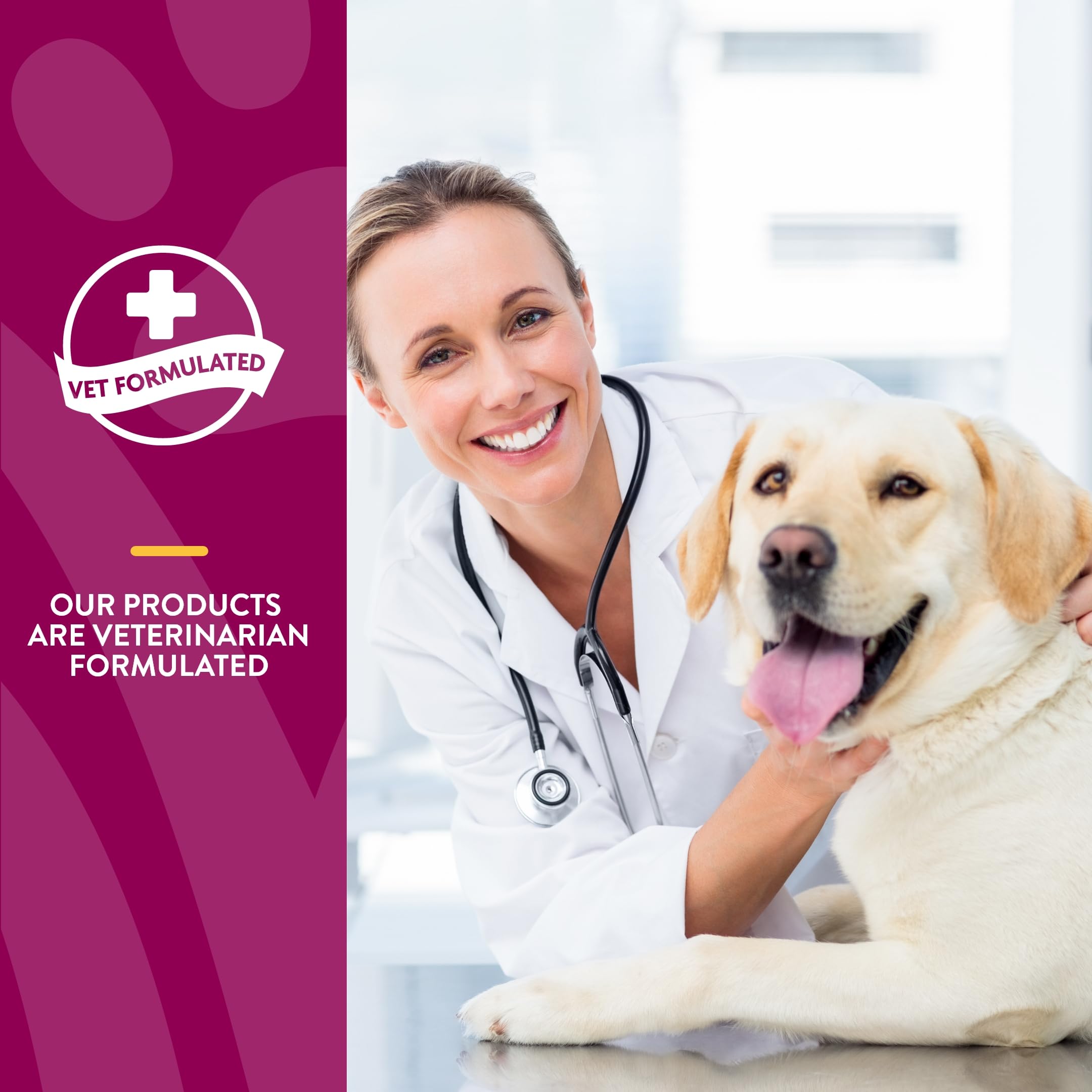 NaturVet – Senior Wellness Hip & Joint Advanced Plus Omegas | Help Support Your Pet’s Healthy Hip & Joint Function | Supports Joints, Cartilage & Connective Tissues | 120 Soft Chews