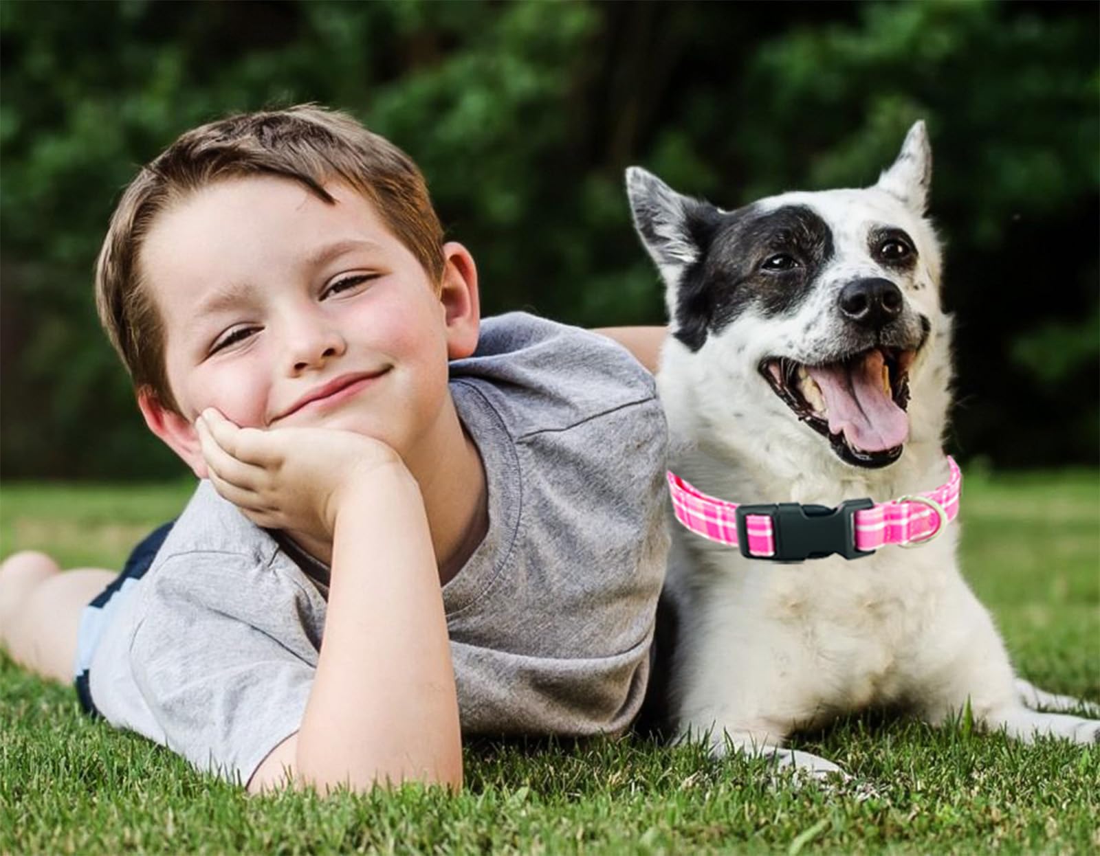 Tunkoo Rainbow Dog Collar, Cute Adjustable Striped Collar for LGBT Pride Month, Dog Collar with Strong Plastic Buckle - for Small Medium Large Pets, S