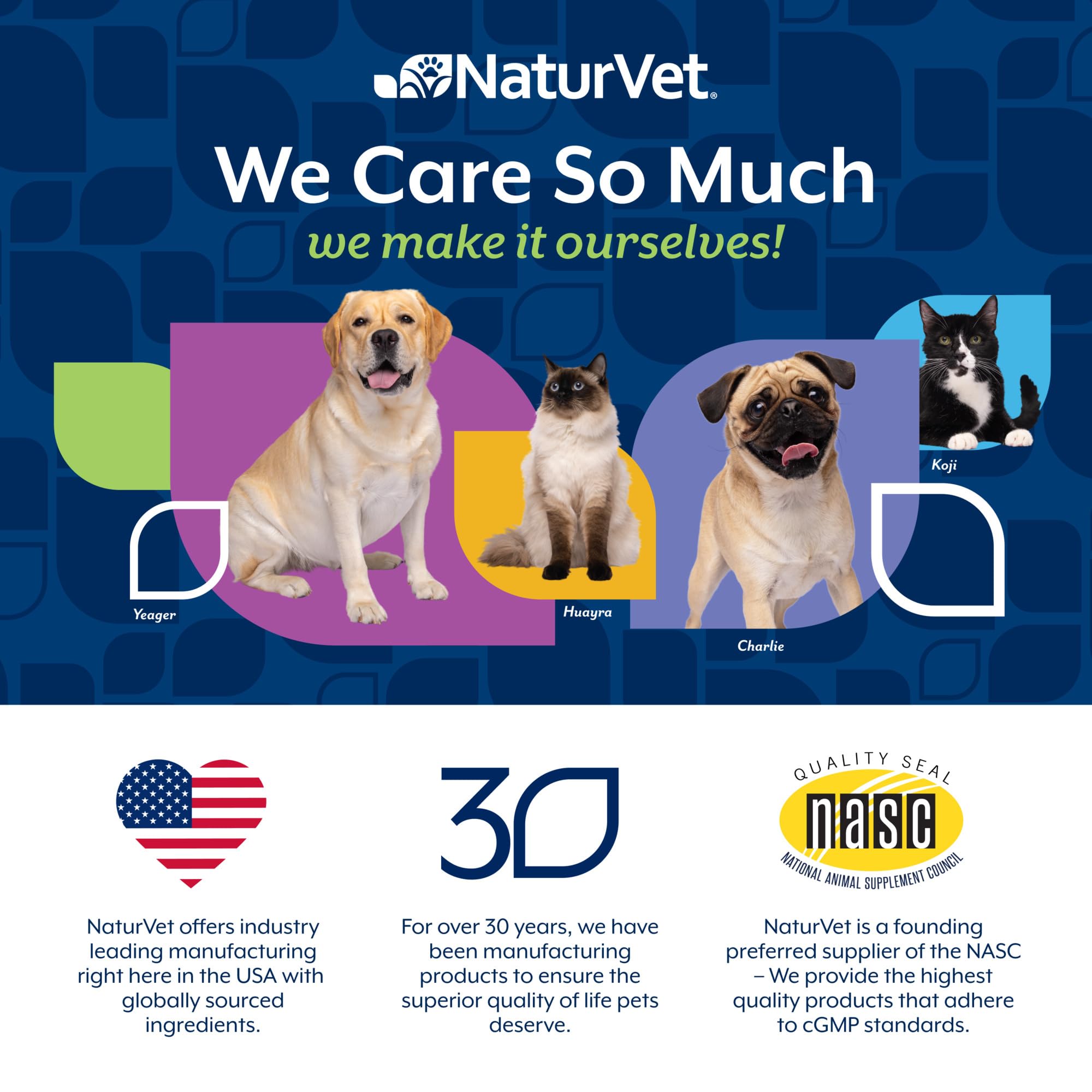 NaturVet – Senior Wellness Hip & Joint Advanced Plus Omegas | Help Support Your Pet’s Healthy Hip & Joint Function | Supports Joints, Cartilage & Connective Tissues | 120 Soft Chews