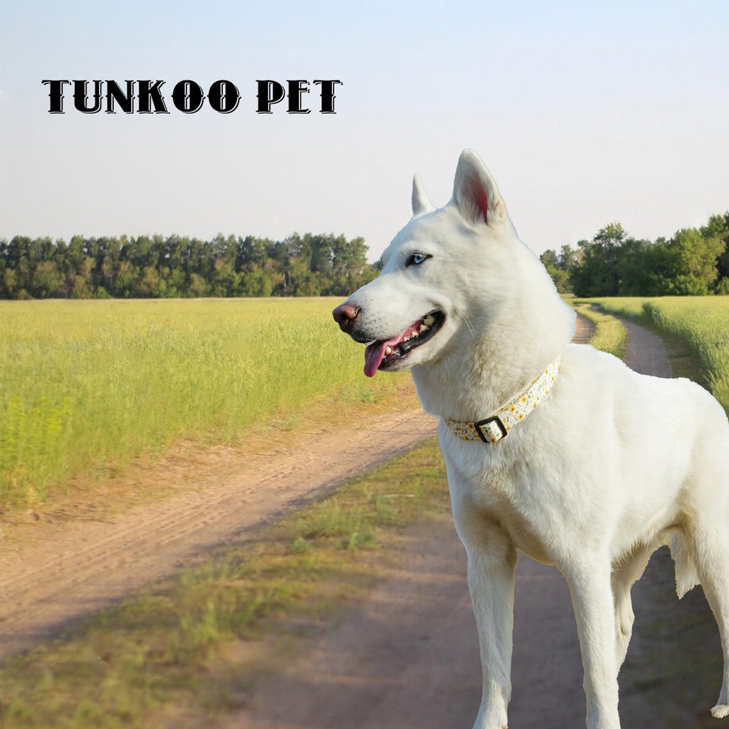 Tunkoo Rainbow Dog Collar, Cute Adjustable Striped Collar for LGBT Pride Month, Dog Collar with Strong Plastic Buckle - for Small Medium Large Pets, S