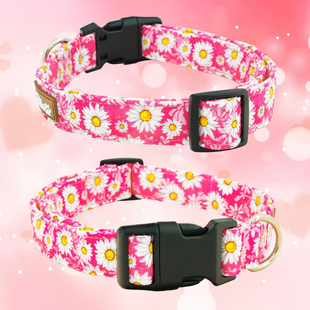 Tunkoo Rainbow Dog Collar, Cute Adjustable Striped Collar for LGBT Pride Month, Dog Collar with Strong Plastic Buckle - for Small Medium Large Pets, S