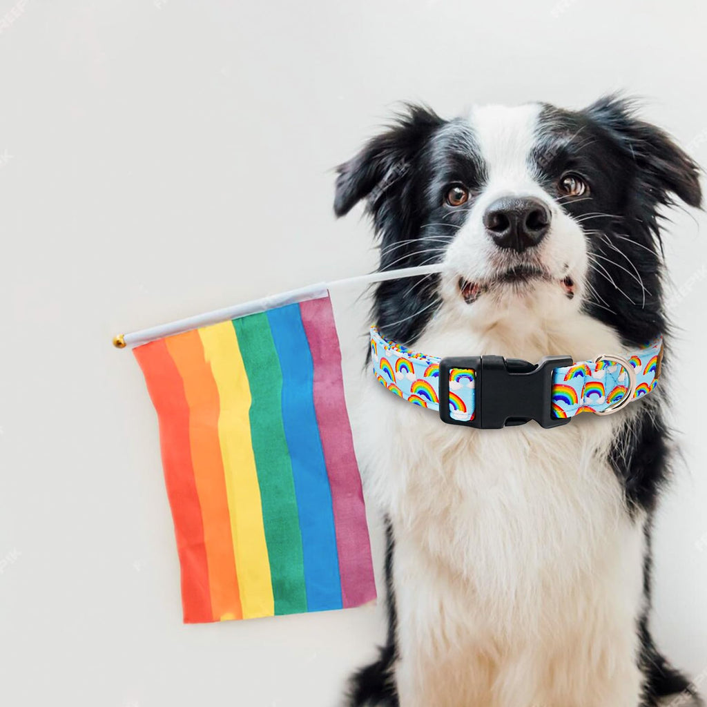 Tunkoo Rainbow Dog Collar, Cute Adjustable Striped Collar for LGBT Pride Month, Dog Collar with Strong Plastic Buckle - for Small Medium Large Pets, S