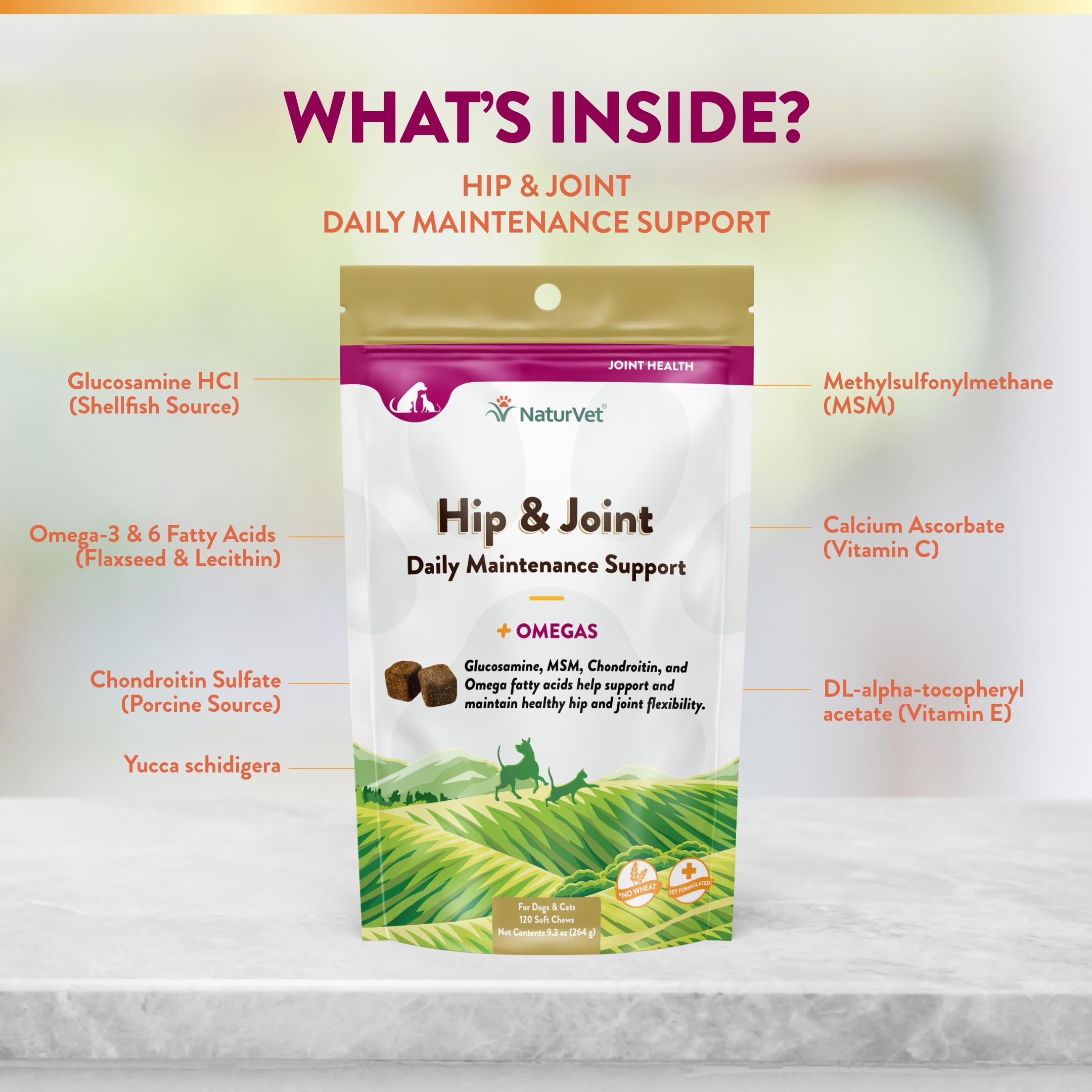 NaturVet – Senior Wellness Hip & Joint Advanced Plus Omegas | Help Support Your Pet’s Healthy Hip & Joint Function | Supports Joints, Cartilage & Connective Tissues | 120 Soft Chews