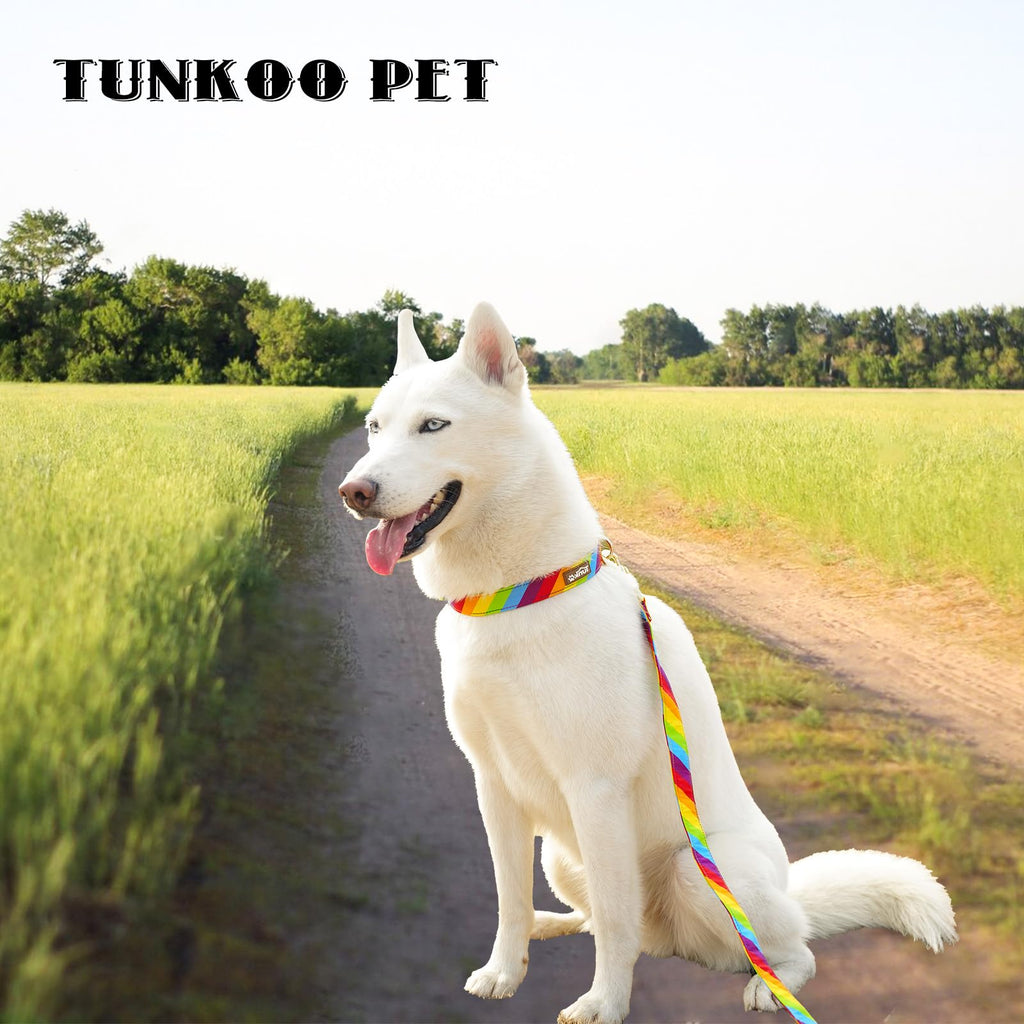 Tunkoo Rainbow Dog Collar, Cute Adjustable Striped Collar for LGBT Pride Month, Dog Collar with Strong Plastic Buckle - for Small Medium Large Pets, S
