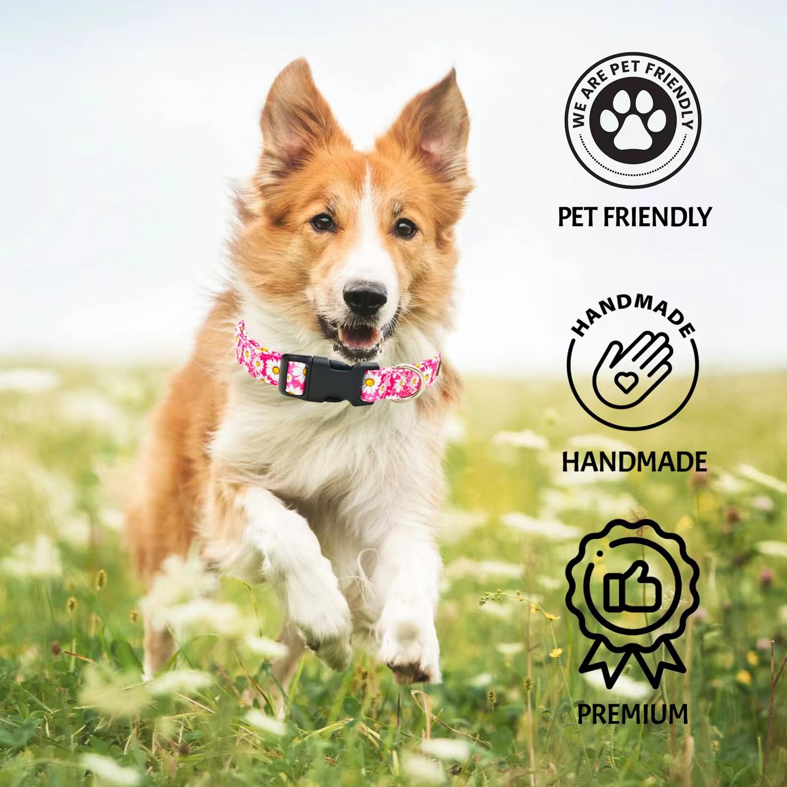Tunkoo Rainbow Dog Collar, Cute Adjustable Striped Collar for LGBT Pride Month, Dog Collar with Strong Plastic Buckle - for Small Medium Large Pets, S