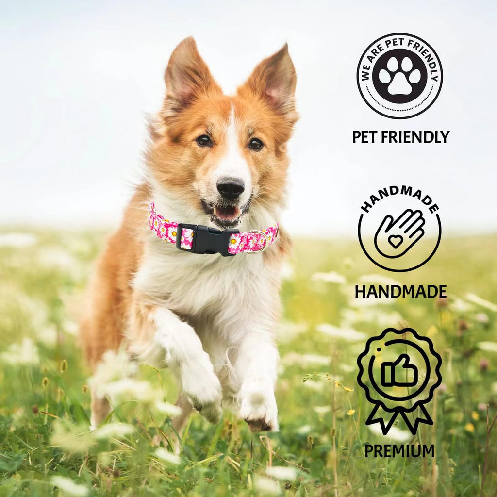 Tunkoo Rainbow Dog Collar, Cute Adjustable Striped Collar for LGBT Pride Month, Dog Collar with Strong Plastic Buckle - for Small Medium Large Pets, S