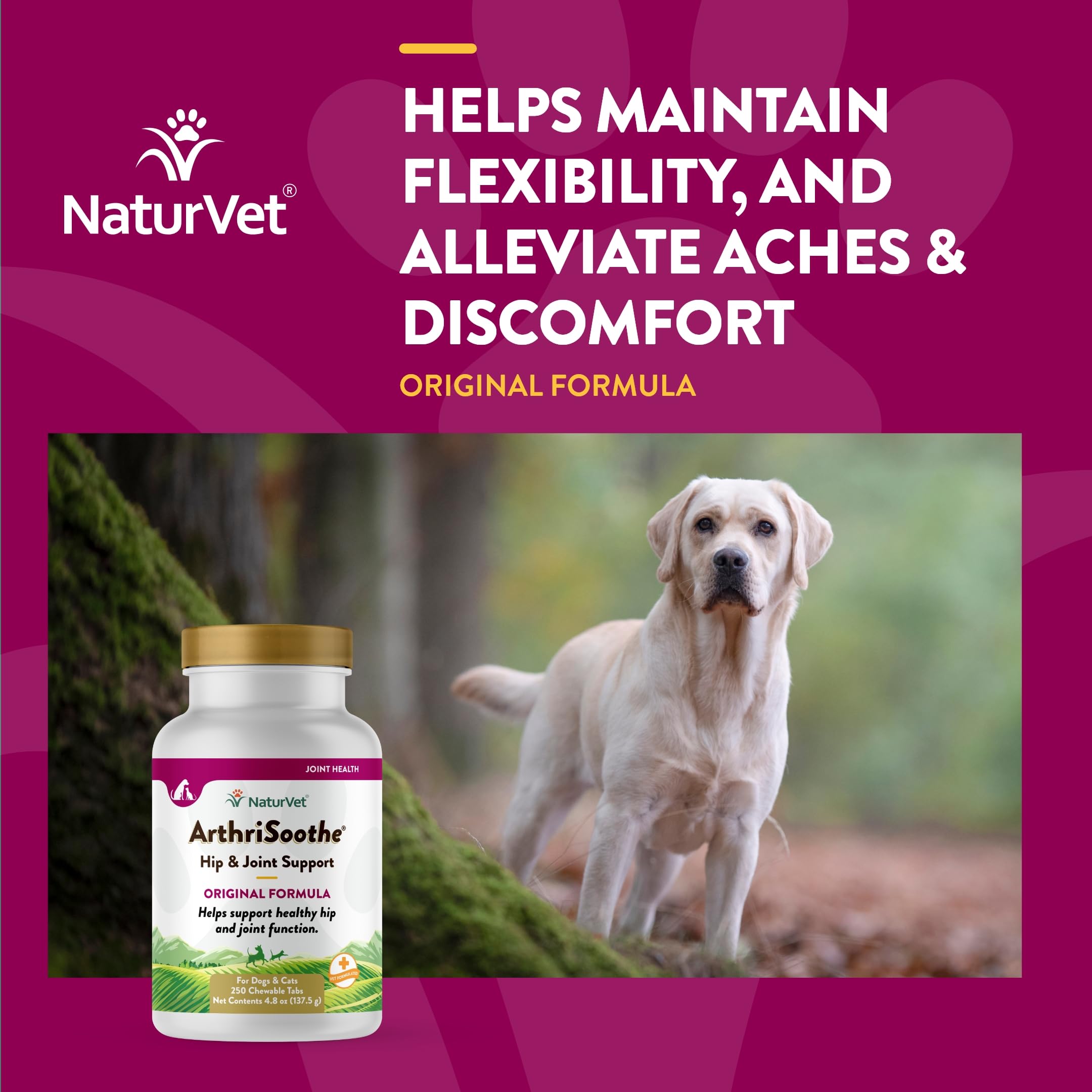 NaturVet – Senior Wellness Hip & Joint Advanced Plus Omegas | Help Support Your Pet’s Healthy Hip & Joint Function | Supports Joints, Cartilage & Connective Tissues | 120 Soft Chews