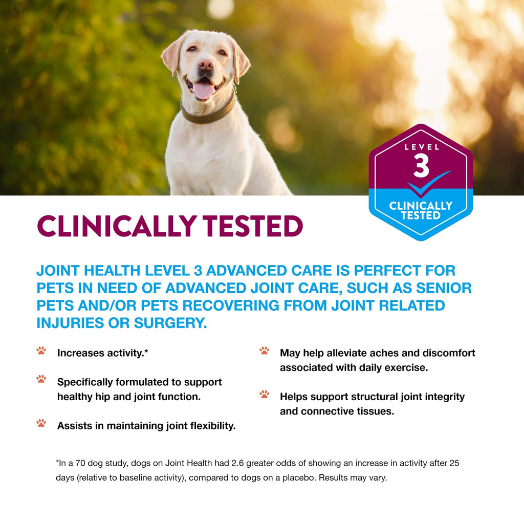 NaturVet – Senior Wellness Hip & Joint Advanced Plus Omegas | Help Support Your Pet’s Healthy Hip & Joint Function | Supports Joints, Cartilage & Connective Tissues | 120 Soft Chews