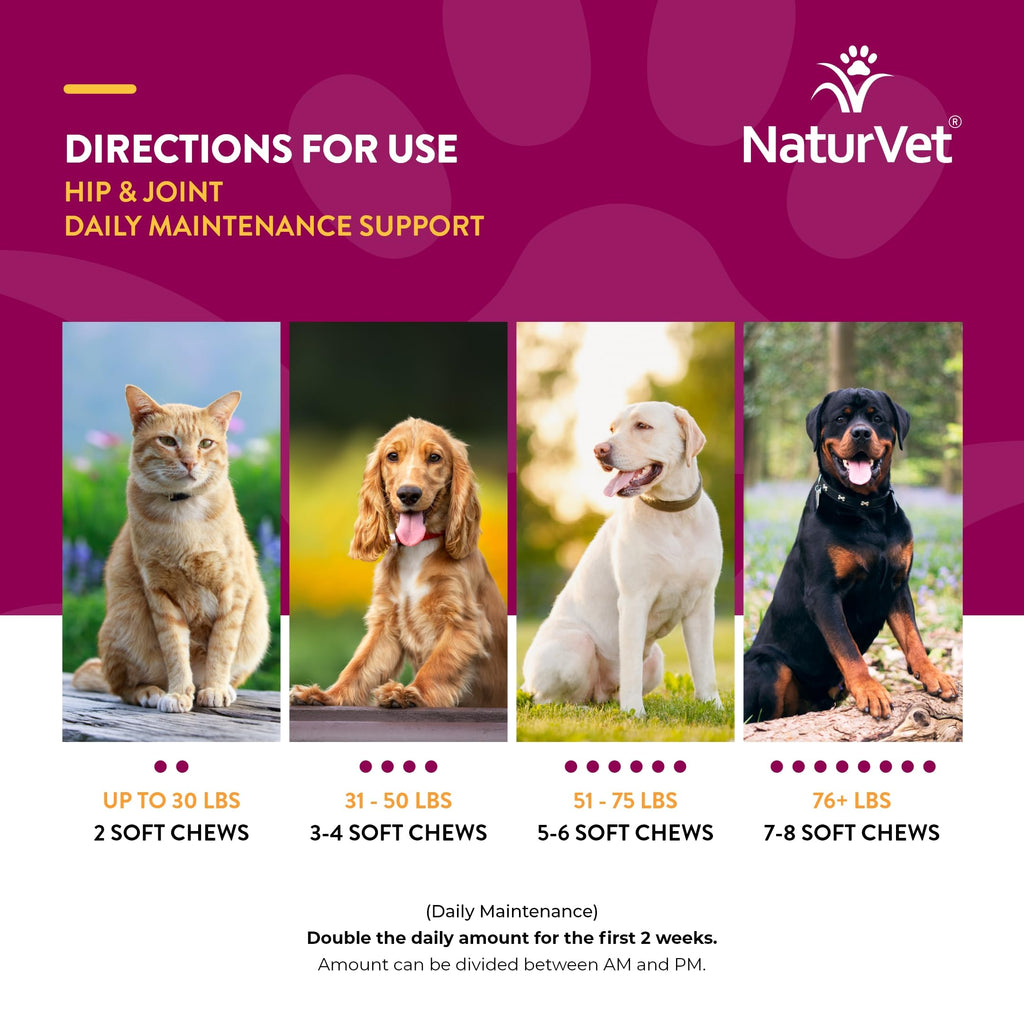 NaturVet – Senior Wellness Hip & Joint Advanced Plus Omegas | Help Support Your Pet’s Healthy Hip & Joint Function | Supports Joints, Cartilage & Connective Tissues | 120 Soft Chews