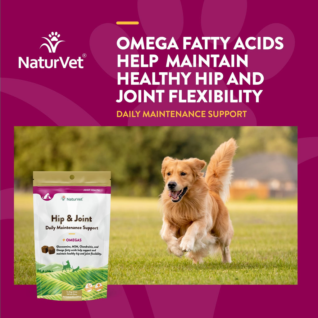 NaturVet – Senior Wellness Hip & Joint Advanced Plus Omegas | Help Support Your Pet’s Healthy Hip & Joint Function | Supports Joints, Cartilage & Connective Tissues | 120 Soft Chews