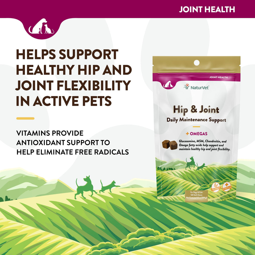 NaturVet – Senior Wellness Hip & Joint Advanced Plus Omegas | Help Support Your Pet’s Healthy Hip & Joint Function | Supports Joints, Cartilage & Connective Tissues | 120 Soft Chews
